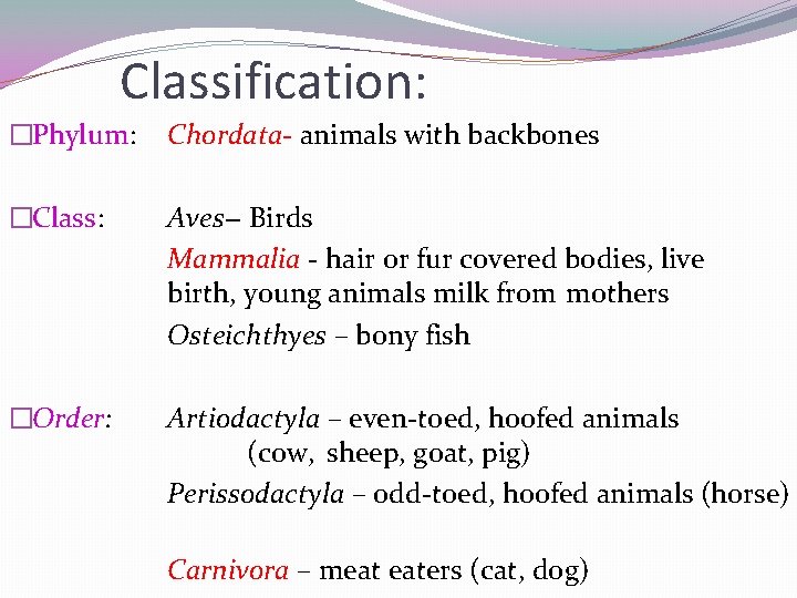 Classification: �Phylum: Chordata animals with backbones �Class: Aves - Birds Mammalia - hair or