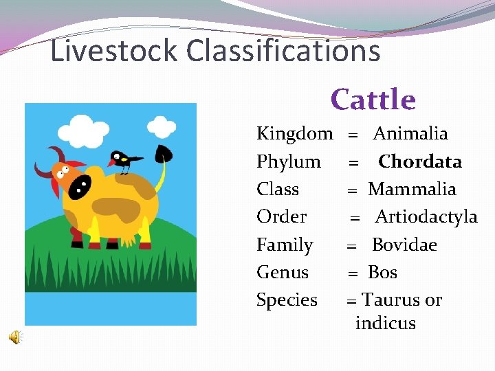 Livestock Classifications Cattle Kingdom Phylum Class Order Family Genus Species = Animalia = Chordata