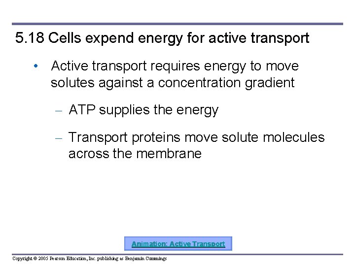 5. 18 Cells expend energy for active transport • Active transport requires energy to