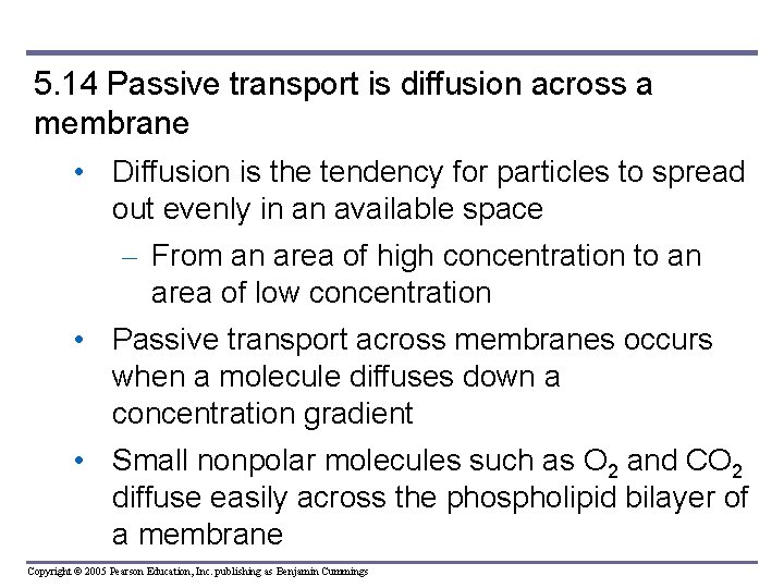 5. 14 Passive transport is diffusion across a membrane • Diffusion is the tendency