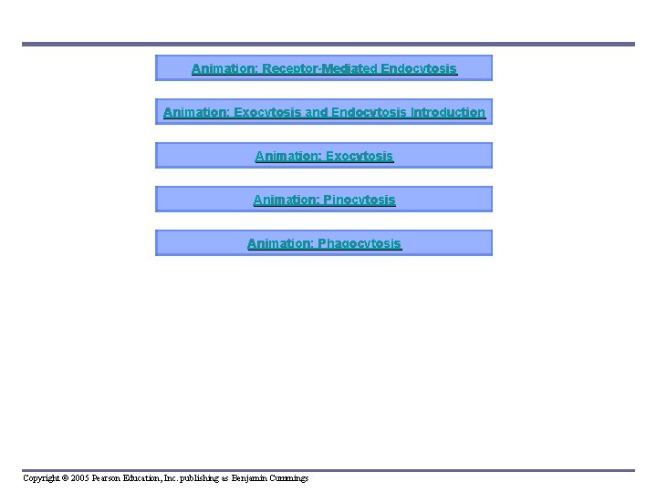 Animation: Receptor-Mediated Endocytosis Animation: Exocytosis and Endocytosis Introduction Animation: Exocytosis Animation: Pinocytosis Animation: Phagocytosis