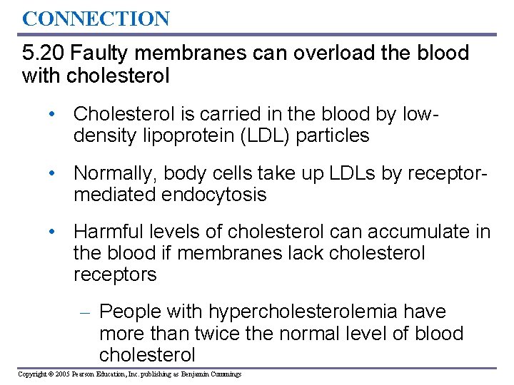 CONNECTION 5. 20 Faulty membranes can overload the blood with cholesterol • Cholesterol is