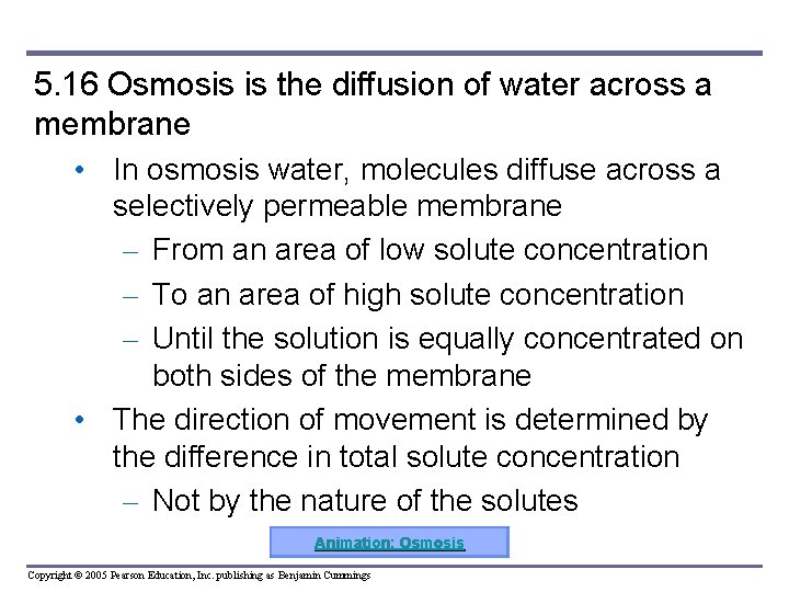 5. 16 Osmosis is the diffusion of water across a membrane • In osmosis