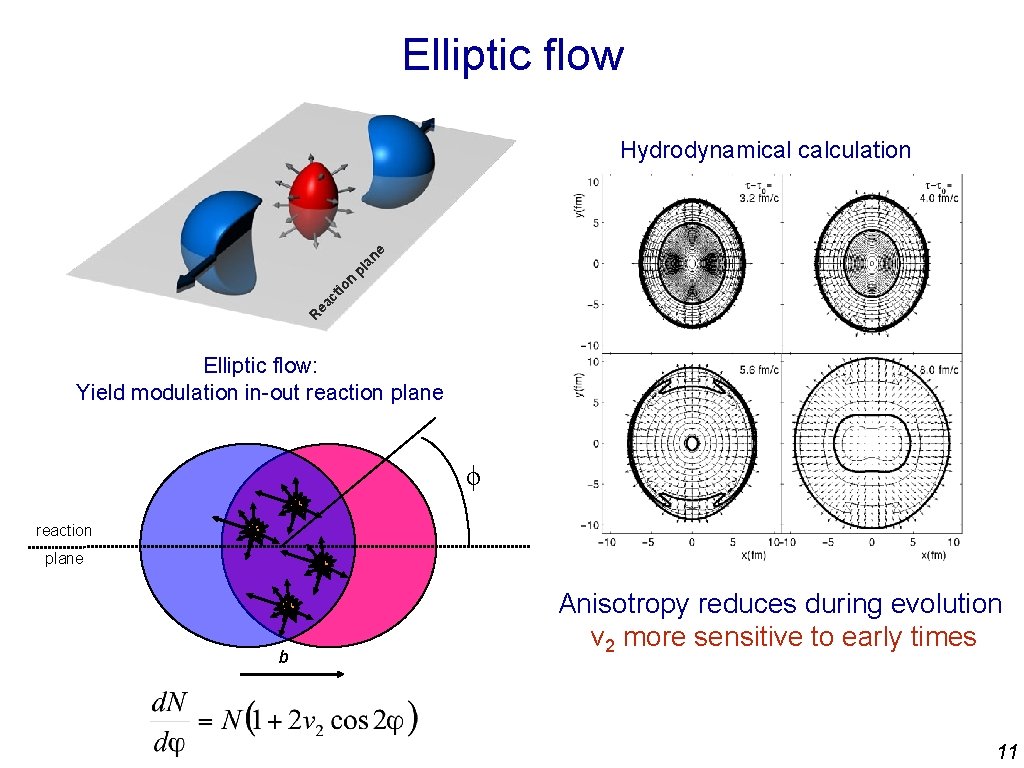 Elliptic flow R ea ct io n pl an e Hydrodynamical calculation Elliptic flow: