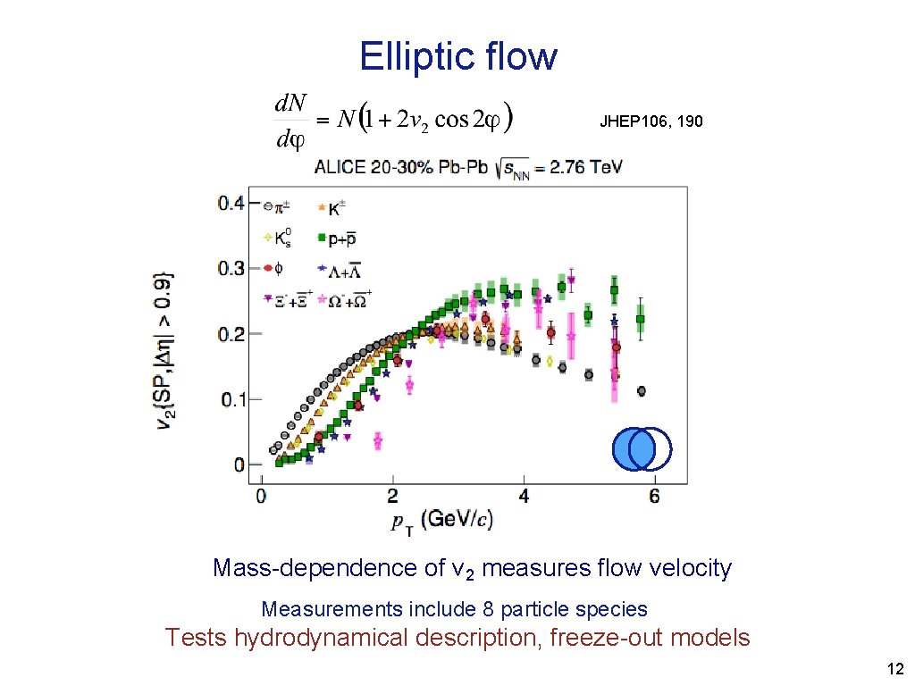 Elliptic flow JHEP 106, 190 Mass-dependence of v 2 measures flow velocity Measurements include