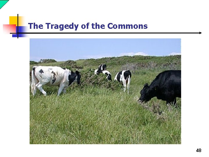 The Tragedy of the Commons 48 