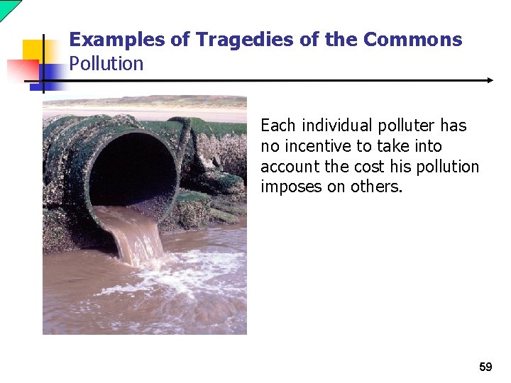 Examples of Tragedies of the Commons Pollution Each individual polluter has no incentive to