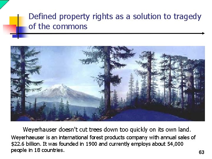 Defined property rights as a solution to tragedy of the commons Weyerhauser doesn't cut