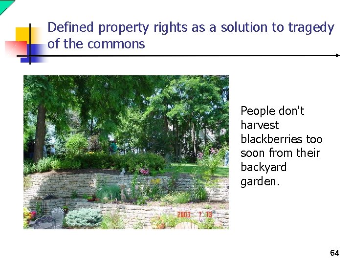 Defined property rights as a solution to tragedy of the commons People don't harvest