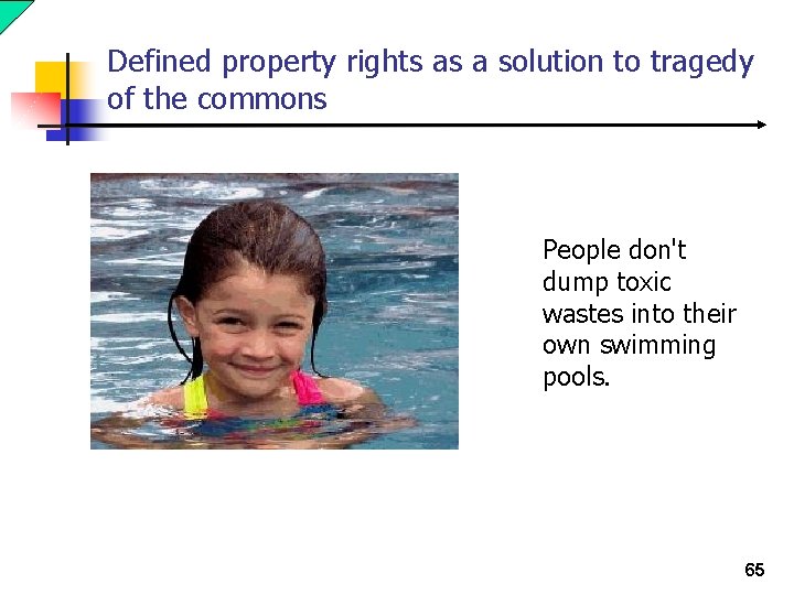 Defined property rights as a solution to tragedy of the commons People don't dump