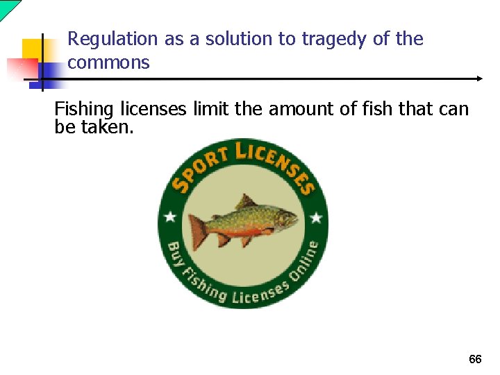 Regulation as a solution to tragedy of the commons Fishing licenses limit the amount