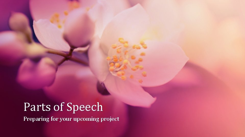 Parts of Speech Preparing for your upcoming project 