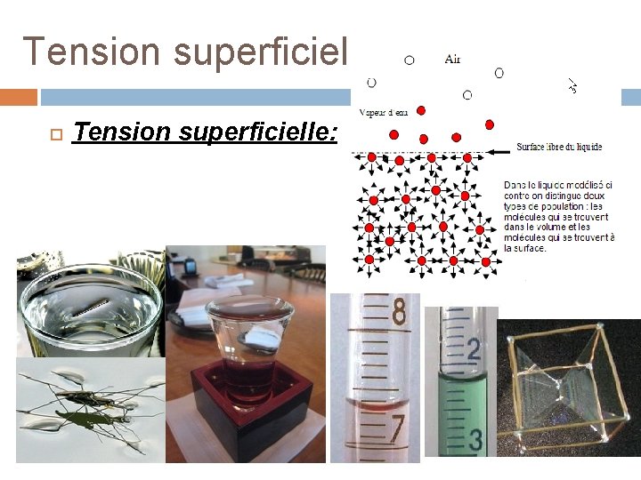 Tension superficielle Tension superficielle: 