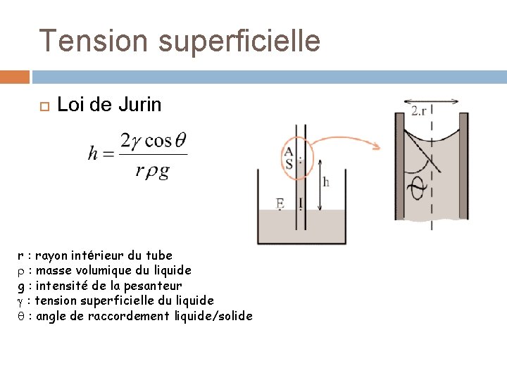 Tension superficielle Loi de Jurin r : rayon intérieur du tube : masse volumique