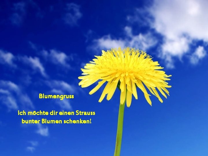 Blumengruss Ich möchte dir einen Strauss bunter Blumen schenken! 