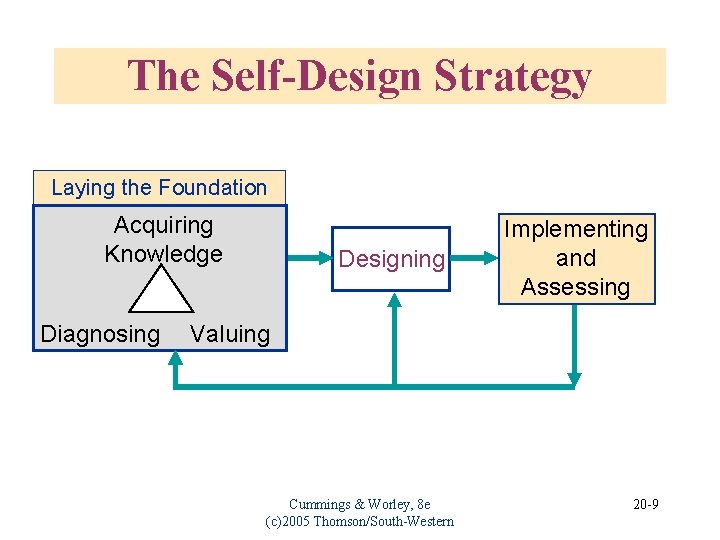 The Self-Design Strategy Laying the Foundation Acquiring Knowledge Diagnosing Designing Implementing and Assessing Valuing