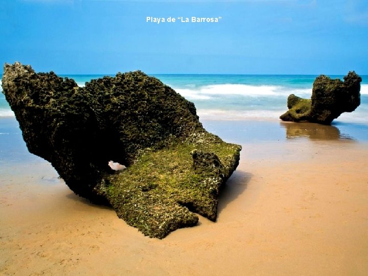 Playa de “La Barrosa” Playa de “La Barrosa”
