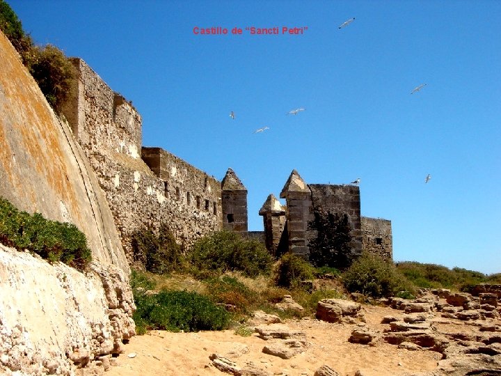 Castillo de “Sancti Petri” Castillo de “Sancti Petri”