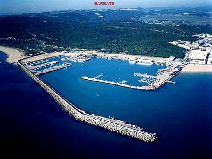 BARBATE BARBATE