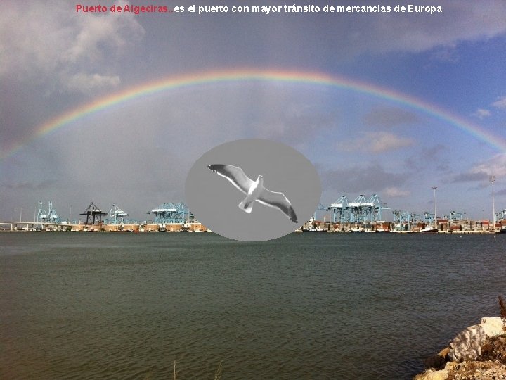 Puerto de Algeciras. . es el puerto con mayor tránsito de mercancias de Europa Puerto de Algeciras. . es el puerto con mayor tránsito de mercancias de Europa