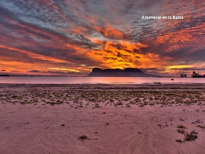 Delfines en la “Bahía de Algeciras” Amanecer en la Bahía Delfines en la “Bahía de Algeciras” Amanecer en la Bahía