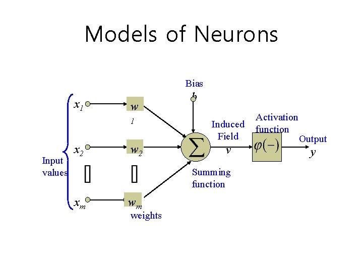 Models of Neurons Bias x 1 w 1 Input values x 2 w 2