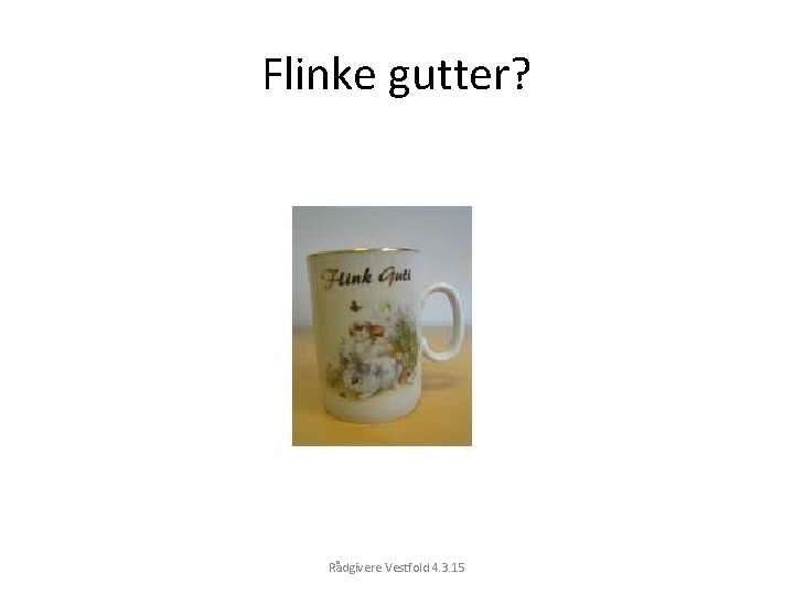 Flinke gutter? Rådgivere Vestfold 4. 3. 15 