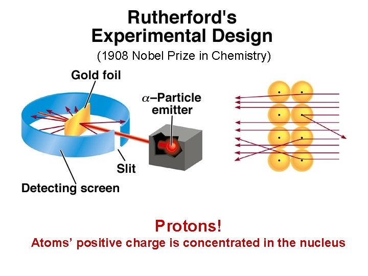 (1908 Nobel Prize in Chemistry) Protons! Atoms’ positive charge is concentrated in the nucleus (1908 Nobel Prize in Chemistry) Protons! Atoms’ positive charge is concentrated in the nucleus
