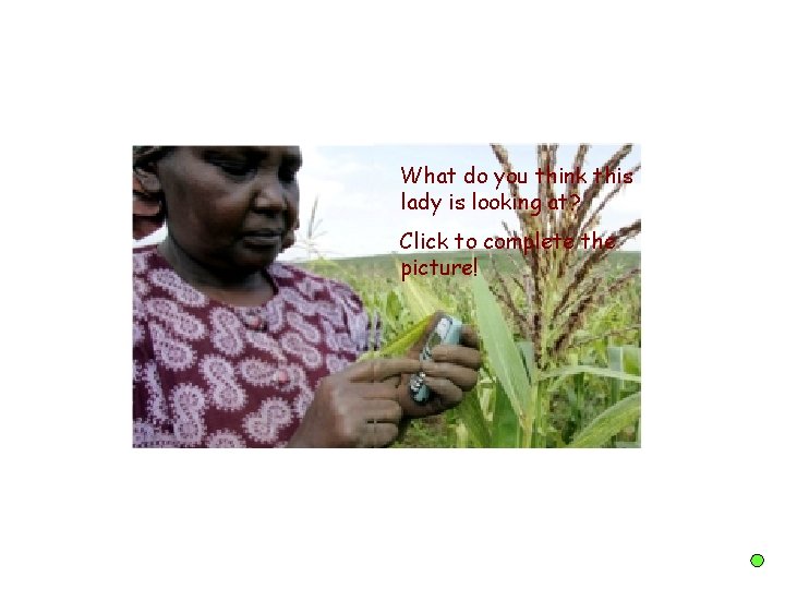 What do you think this lady is looking at? Click to complete the picture! What do you think this lady is looking at? Click to complete the picture!