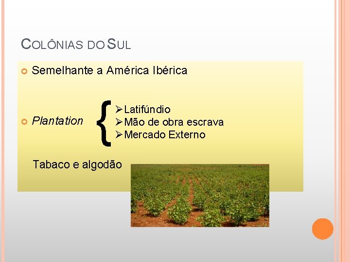 COLÔNIAS DO SUL Semelhante a América Ibérica Plantation { ØLatifúndio ØMão de obra escrava