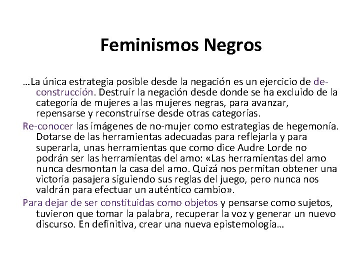 Feminismos Negros …La única estrategia posible desde la negación es un ejercicio de deconstrucción.