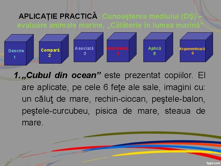 APLICAȚIE PRACTICĂ: Cunoaşterea mediului (DŞ) – evaluare animale marine, „Călătorie în lumea marină” Descrie