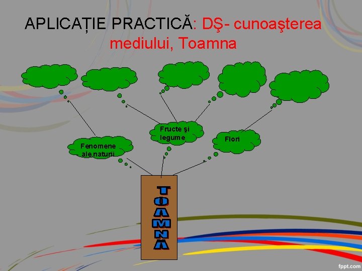 APLICAȚIE PRACTICĂ: DŞ- cunoaşterea mediului, Toamna Fructe şi legume Fenomene ale naturii Flori 