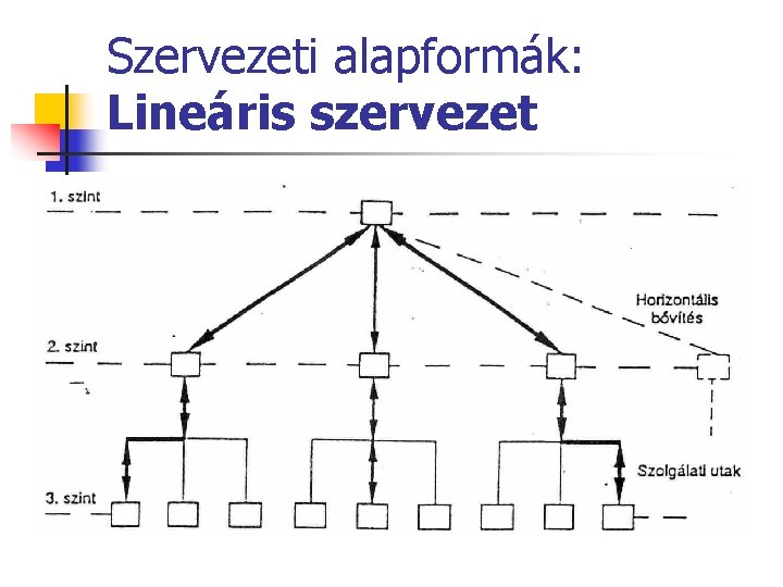 Szervezeti alapformák: Lineáris szervezet A függelmi és szakmai irányítás nem válik külön. 