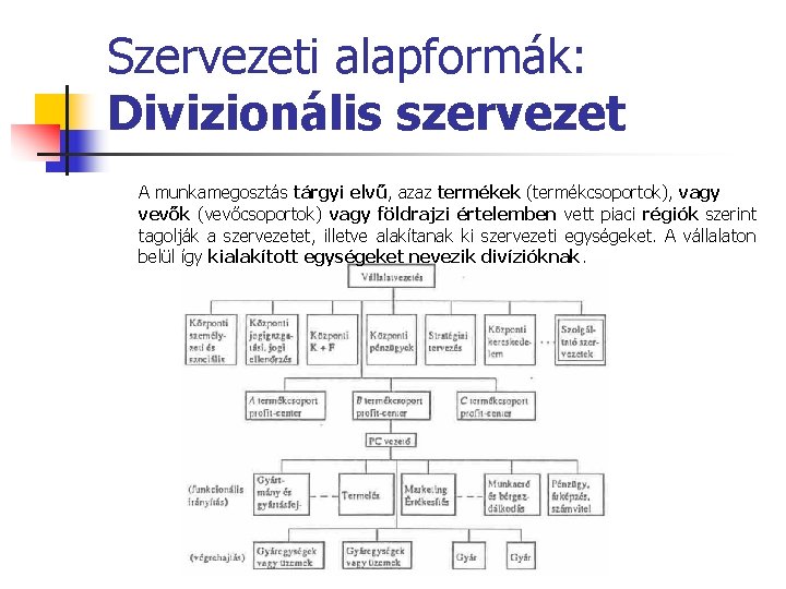 Szervezeti alapformák: Divizionális szervezet A munkamegosztás tárgyi elvű, azaz termékek (termékcsoportok), vagy vevők (vevőcsoportok)