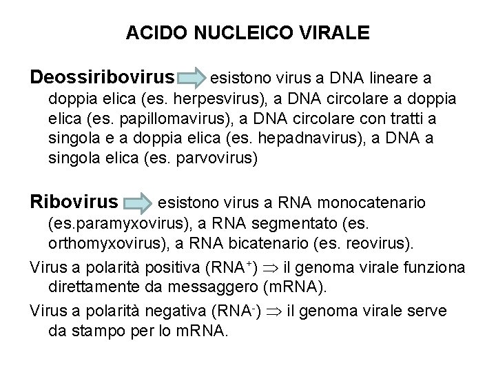 ACIDO NUCLEICO VIRALE Deossiribovirus esistono virus a DNA lineare a doppia elica (es. herpesvirus),