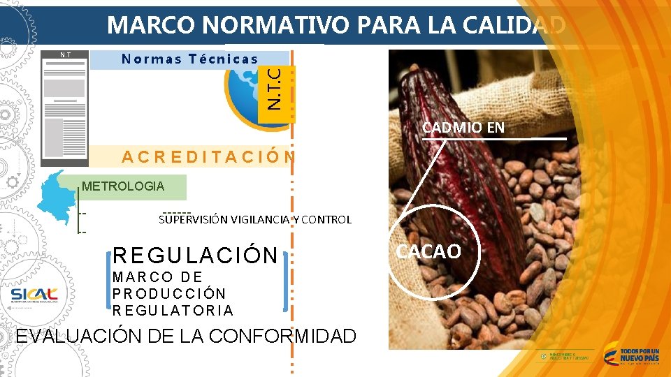 MARCO NORMATIVO PARA LA CALIDAD Normas Técnicas N. T. C N. T CADMIO EN