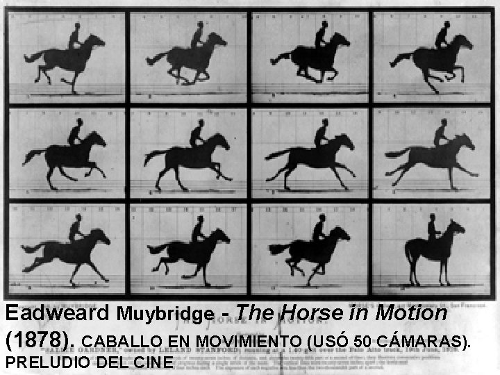 Eadweard Muybridge - The Horse in Motion (1878). CABALLO EN MOVIMIENTO (USÓ 50 CÁMARAS).