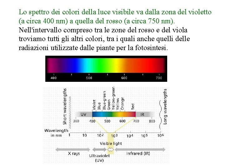 Lo spettro dei colori della luce visibile va dalla zona del violetto (a circa
