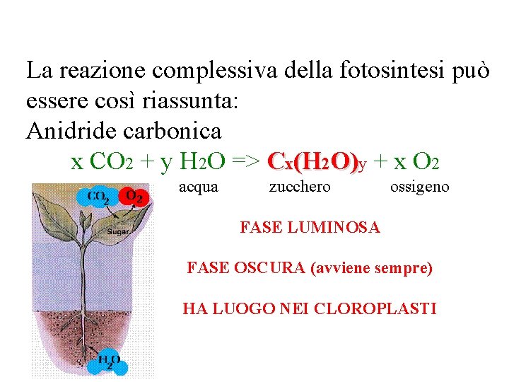 La reazione complessiva della fotosintesi può essere così riassunta: Anidride carbonica x CO 2