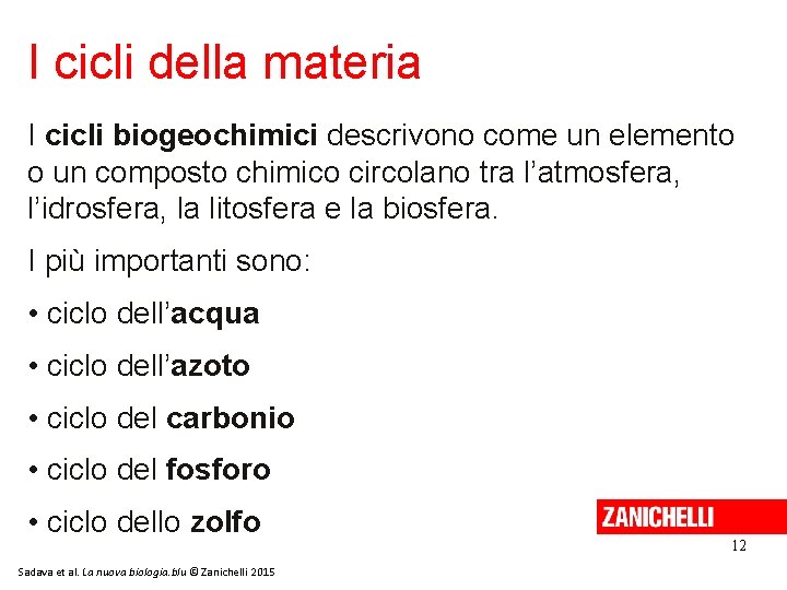 I cicli della materia I cicli biogeochimici descrivono come un elemento o un composto I cicli della materia I cicli biogeochimici descrivono come un elemento o un composto