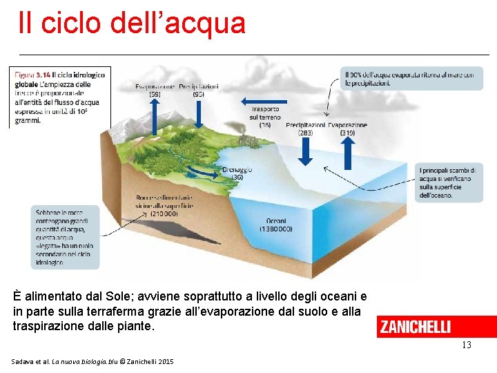 Il ciclo dell’acqua È alimentato dal Sole; avviene soprattutto a livello degli oceani e Il ciclo dell’acqua È alimentato dal Sole; avviene soprattutto a livello degli oceani e
