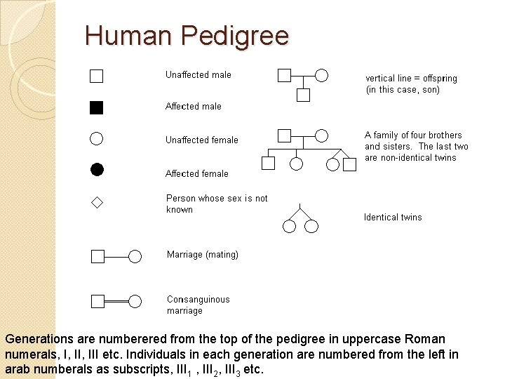Human Pedigree Generations are numberered from the top of the pedigree in uppercase Roman