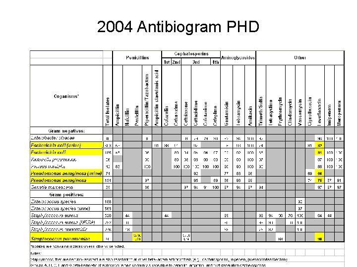 2004 Antibiogram PHD 