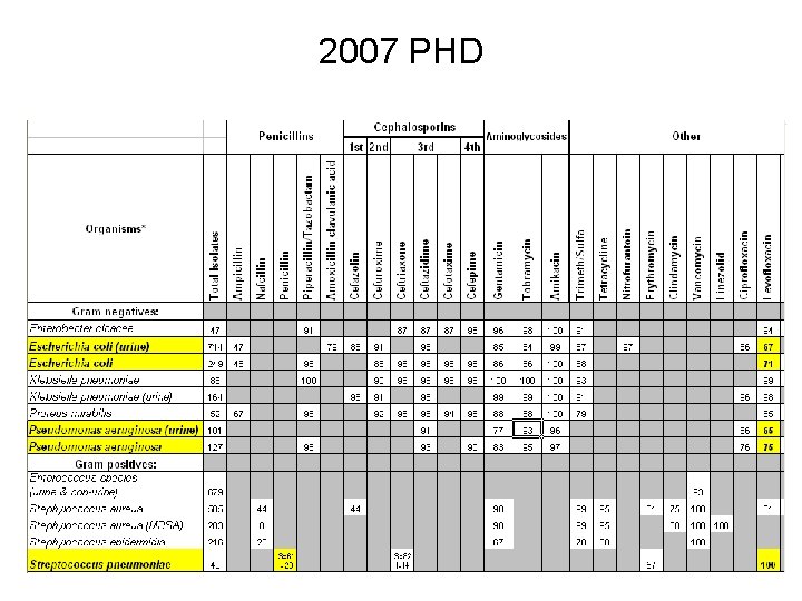 2007 PHD 