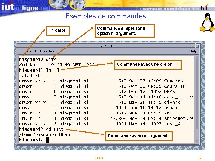 Exemples de commandes Prompt Commande simple sans option ni argument. Commande avec une option. Exemples de commandes Prompt Commande simple sans option ni argument. Commande avec une option.