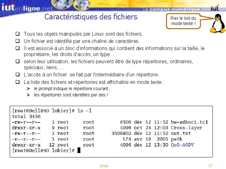 Caractéristiques des fichiers Ras le bol du mode texte ! q Tous les objets Caractéristiques des fichiers Ras le bol du mode texte ! q Tous les objets