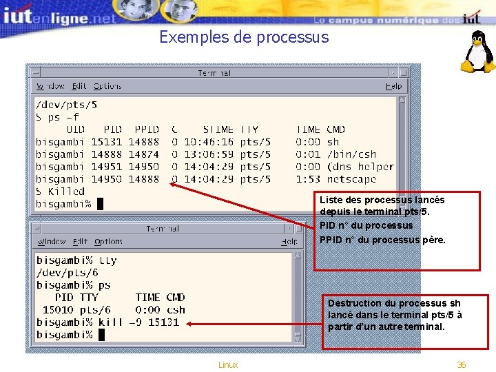 Exemples de processus Liste des processus lancés depuis le terminal pts/5. PID n° du Exemples de processus Liste des processus lancés depuis le terminal pts/5. PID n° du