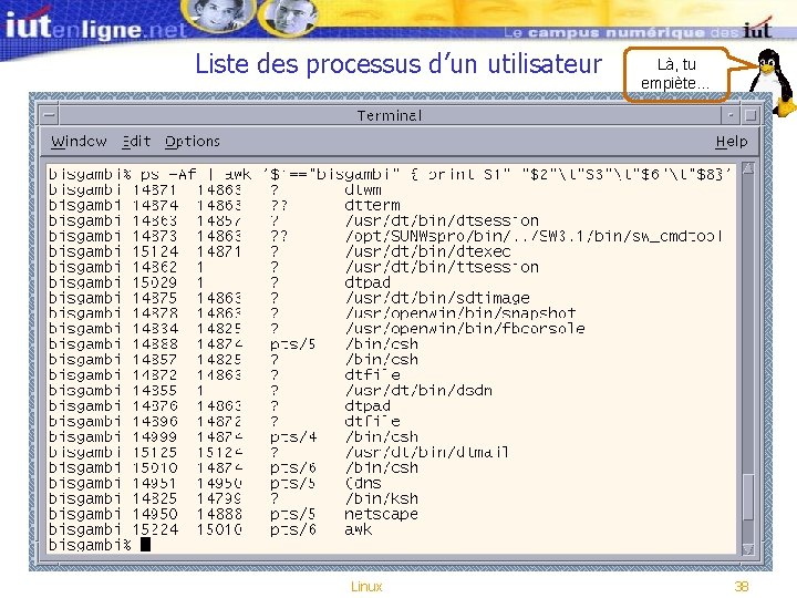 Liste des processus d’un utilisateur Linux Là, tu empiète… 38 Liste des processus d’un utilisateur Linux Là, tu empiète… 38