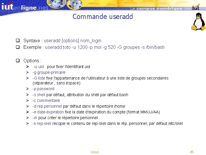 Commande useradd q Syntaxe : useradd [options] nom_login q Exemple : useradd toto -u